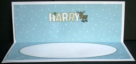 Rudolf the Red Nose Reindeer Harry Large Dl Insert by Joyce Watson