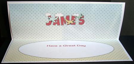 Planes James Large Dl Insert by Joyce Watson