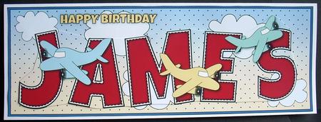 Planes James Large Dl by Joyce Watson
