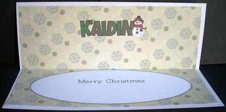 Cute Snowman Kaidin Large Dl Insert by Joyce Watson