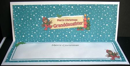 Xmas Granddaughter Robin Signpost Large Dl Insert by Joyce Watson