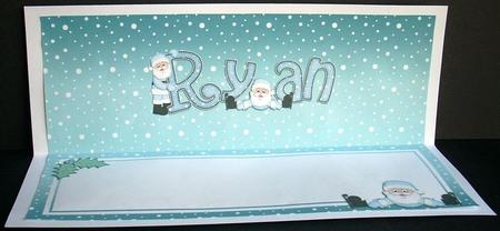 Xmas Ryan Matching Large Dl Insert by Joyce Watson