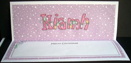 Xmas Niamh Matching Large Dl Insert by Joyce Watson