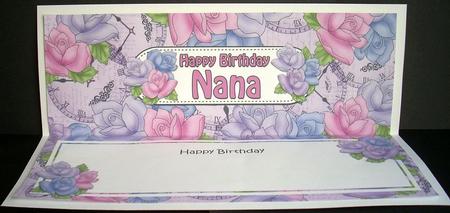 Happy Birthday Nana Matching Large Dl Insert by Joyce Watson