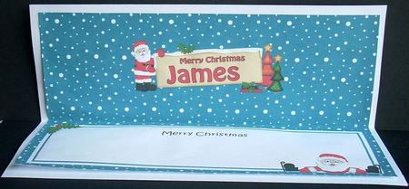 Xmas James Santa Signpost Large Dl Matching Insert by Joyce Watson