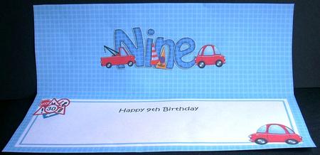 9th Birthday Large Dl Matching Large Dl Insert by Joyce Watson