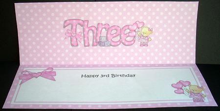 3rd Birthday Large Dl Matching Large Dl Insert by Joyce Watson