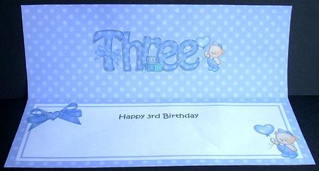 3rd Birthday Large Dl Matching Large Dl Insert by Joyce Watson