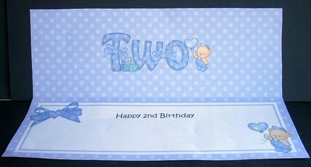 2nd Birthday Large Dl Matching Large Dl Insert by Joyce Watson