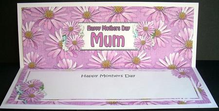 Mothers Day Mum Daisies Floral Large Dl Matching Insert by Joyce Watson