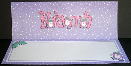 Xmas Niamh Matching Large Dl Insert by Joyce Watson
