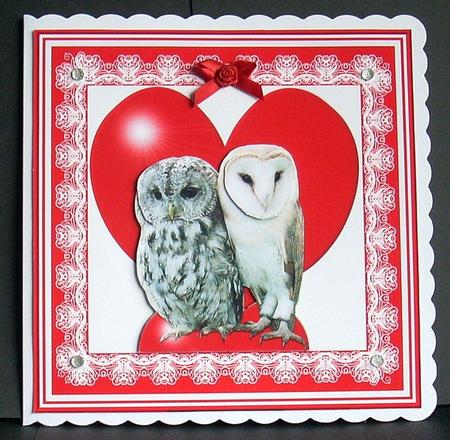 Romantic Barn & Tawny Owls 8 x 8 Decoupage Card Sheet by Joyce Watson
