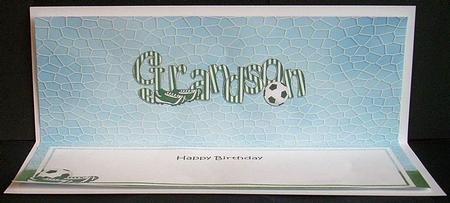 Bithday Grandson Football Large Dl Matching Insert by Joyce Watson
