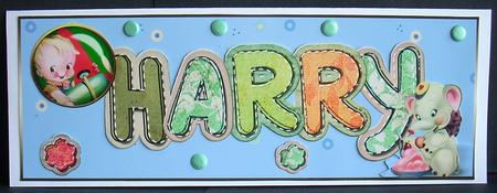 Harry by Joyce Watson