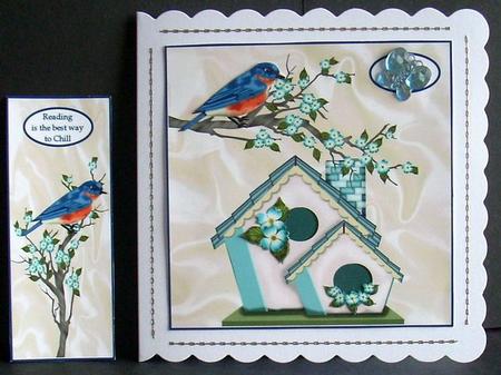 Any Occasion Card by Joyce Watson