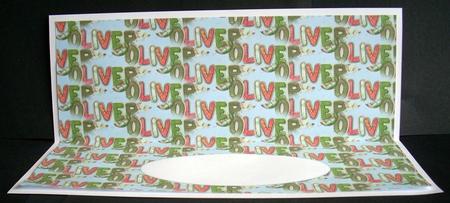 Oliver Insert by Joyce Watson