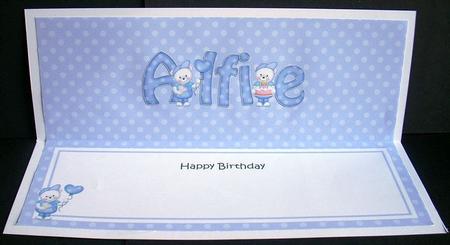 Birthday Alfie Teddies Matching Large Dl Insert by Joyce Watson