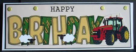Country Life Birthday Large Dl by Joyce Watson