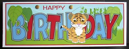 Cute Tiger Birthday Large Dl by Joyce Watson