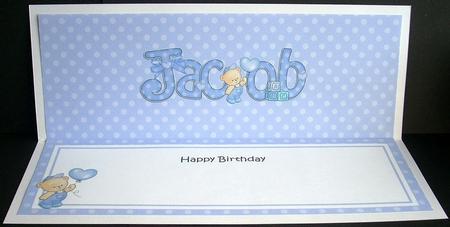 Birthday Jacob Matching Large Dl Insert by Joyce Watson
