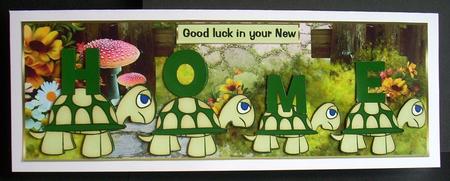 New Home Tortoises by Joyce Watson