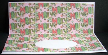Emily Insert by Joyce Watson