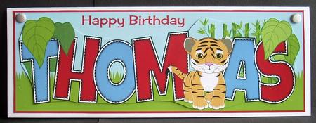 Cute Tiger Thomas Large Dl by Joyce Watson