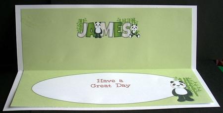 Cute Pandas James Large Dl Insert by Joyce Watson