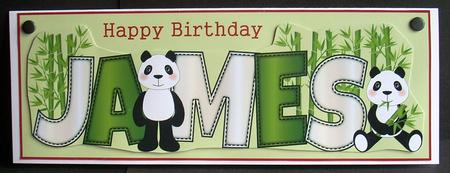 Cute Pandas James Large Dl by Joyce Watson