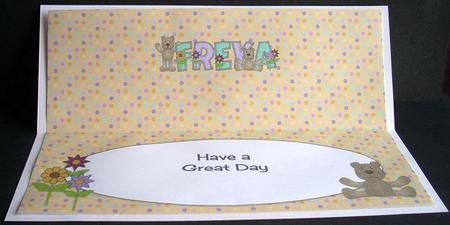Teddies Freya Large Dl Insert by Joyce Watson