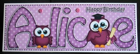 Large Dl Birthday Alice Hoot Owls Card & 3D Decoupage by Joyce Watson