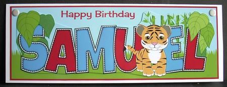 Cute Tiger Samuel Large Dl by Joyce Watson