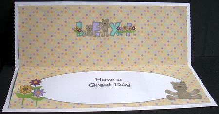Teddies Lexi Large Dl Insert by Joyce Watson