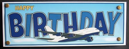Plane Birthday Large Dl by Joyce Watson