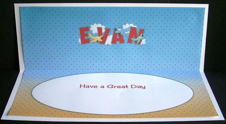 Planes Evan Large Dl Insert by Joyce Watson