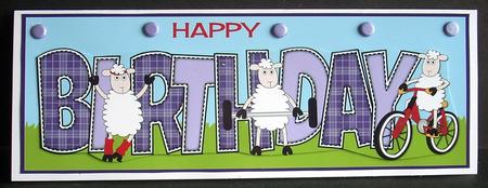 Fitness Sheep Birthday Large Dl by Joyce Watson