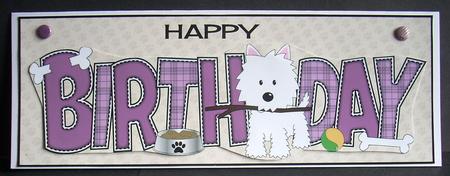 Jazz the Dog with Stick Birthday Large Dl by Joyce Watson