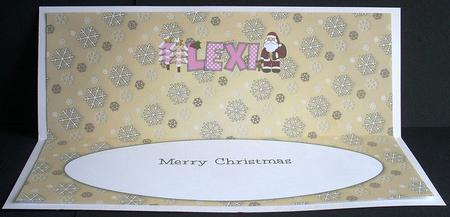 Santa Lexi Large Dl Insert by Joyce Watson