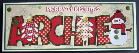 Cute Snowman Archie Large Dl by Joyce Watson