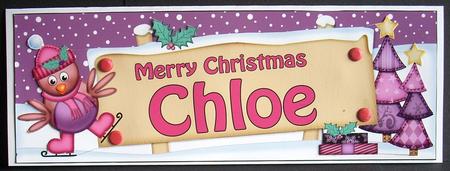 Xmas Chloe Robin Signpost Large Dl Easicut 3D Decoupage by Joyce Watson