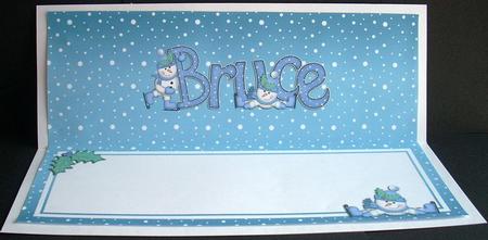 Xmas Bruce Matching Large Dl Insert by Joyce Watson