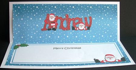 Xmas Andrew Santa Matching Large Dl Insert by Joyce Watson