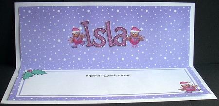 Xmas Isla Robins Matching Large Dl Insert by Joyce Watson