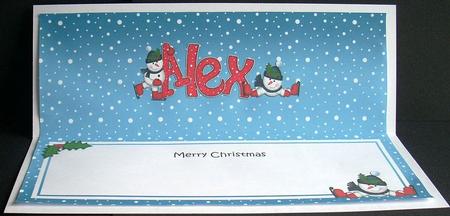 Merry Christmas Alex Snowmen Matching Large Dl Insert by Joyce Watson