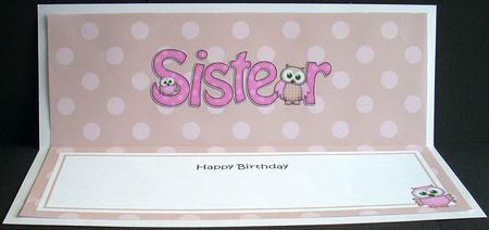 Birthday Owls Sister Matching Large Dl Insert by Joyce Watson