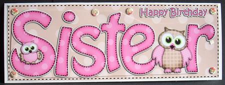 Large Dl Birthday Sister Owls Quick Card N 3D Decoupage by Joyce Watson