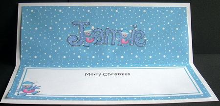 Merry Christmas Jamie Robins Matching Large Dl Insert by Joyce Watson
