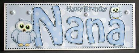 Large Dl Birthday Nana Owls Card & 3D Decoupage by Joyce Watson