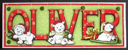 Polar Bears Oliver Large Dl Name Card by Joyce Watson
