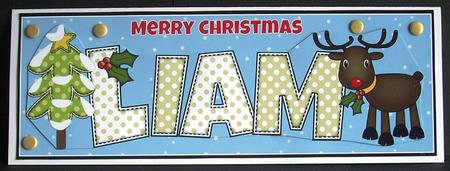 Rudolf the Red Nose Reindeer Liam Large Dl by Joyce Watson